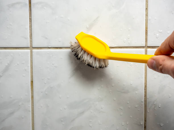 Best Emergency Mold Removal  in Hewlett Harbor, NY